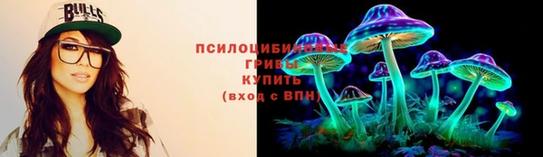 PSILOCYBIN Абинск