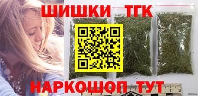 спиды Камышлов