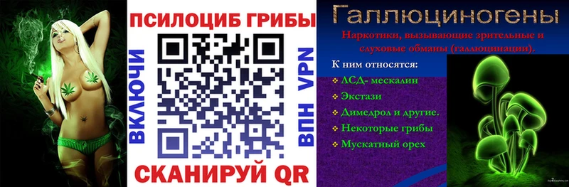 Псилоцибиновые грибы Cubensis  Тулун 