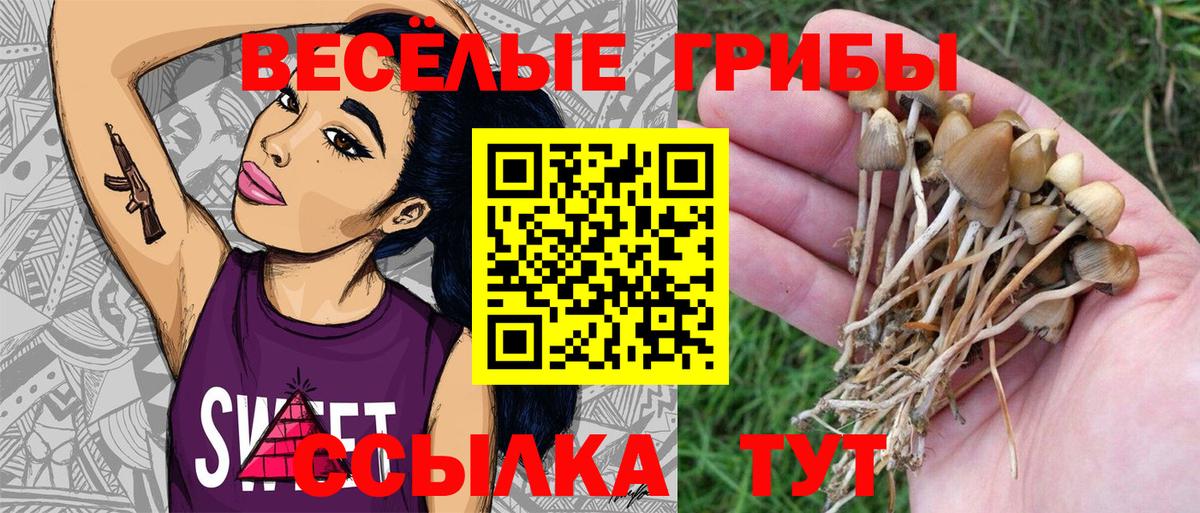 Псилоцибиновые грибы ЛСД  Псилоцибиновые грибы прущие грибы  Вход с VPN  Тулун 