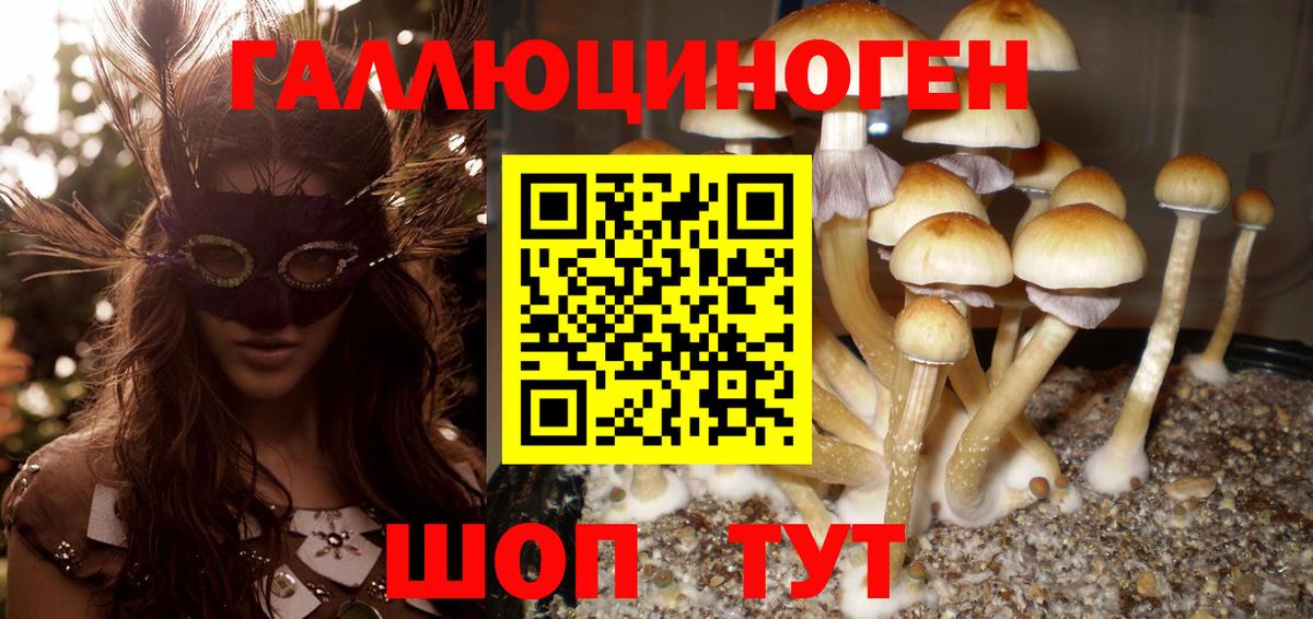 Псилоцибиновые грибы Cubensis Тулун