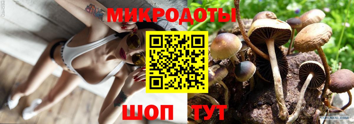 наркотики  Вход с VPN  Тулун  Псилоцибиновые грибы GOLDEN TEACHER  Псилоцибиновые грибы ЛСД 
