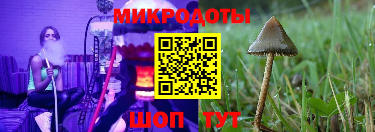 Галлюциногенные грибы прущие грибы Тулун